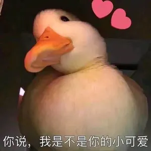 开心鸭00027-你说我是不是你的小可爱