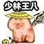 乌龟00014-少林王八