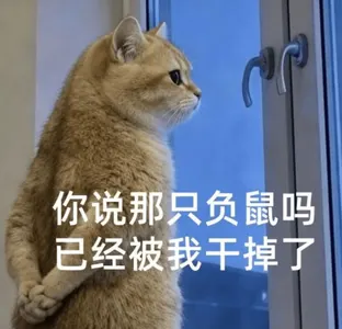 负鼠00013-你说那只负鼠吗已经被我干掉了