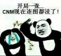 金馆长熊猫00257-开局一张CNM现在连图都没了