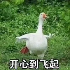 开心鸭00004-开心到飞起