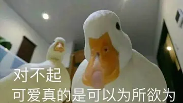 开心鸭00010-对不起可爱真的是可以为所欲为