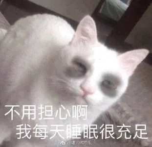 是喵星人啦00132-不用担心啊我每天睡眠很充足猫