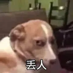 斗图之王00018