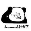 金馆长熊猫00038-太社会了