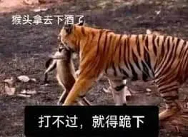 黑神话悟空00005-猴头拿去下酒了打不过就得跪下