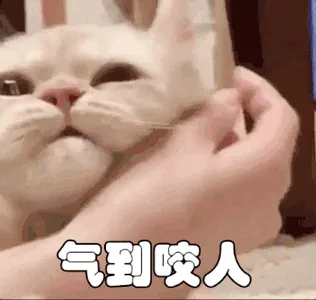 是喵星人啦00083-气到咬人猫
