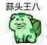 乌龟00015-蒜头王八