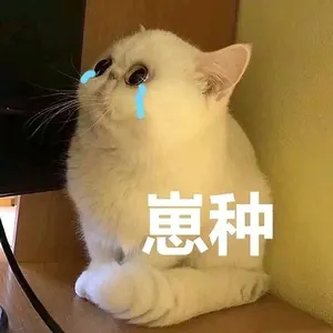 是喵星人啦00009-崽种猫