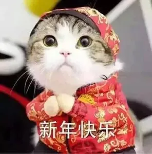 中国春节00007-新年快乐猫