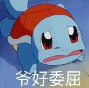 杰尼龟00013-爷好委屈