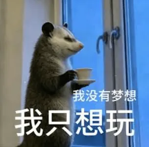 负鼠00007-我没有梦想我只想玩