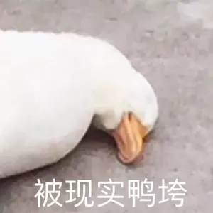 开心鸭00005-被现实鸭垮