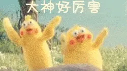 鹦鹉00005-大神好厉害