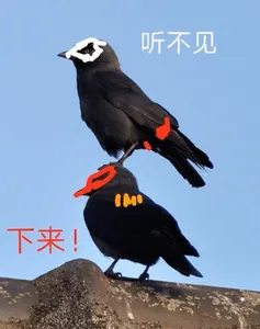 女神异闻录00017-下来听不见