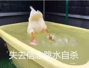 开心鸭00025-失去信心跳水自杀