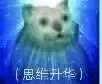 奇妙猫00007-思维升华