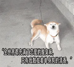 狗00002-全世界都充满了恋爱的酸臭味只有我散发着单身狗的清香