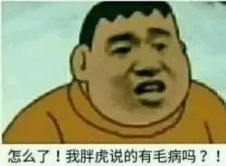 胖虎00014-怎么了-我胖虎说的有毛病吗