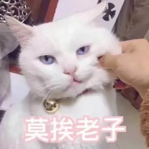 是喵星人啦00124-莫挨老子猫
