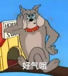 猫和老鼠00122-好气哦