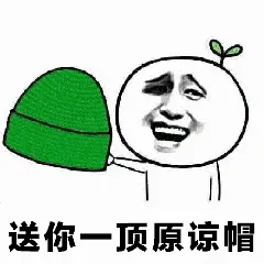 绿帽子00010-送你一顶原谅帽