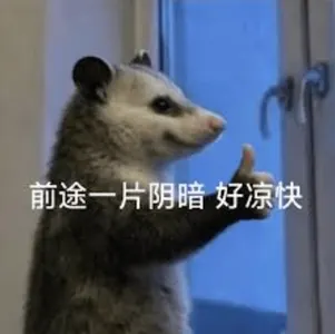 负鼠00019-前途一片阴暗好凉快