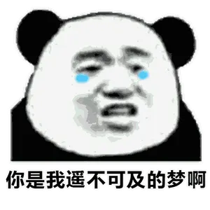 金馆长熊猫00080-你是我遥不可及的梦啊