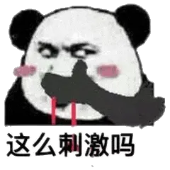 金馆长熊猫00191-这么刺激吗