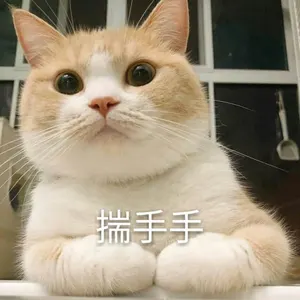 是喵星人啦00070-揣手手猫