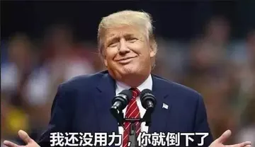 特朗普00020-我还没用力你就倒下了
