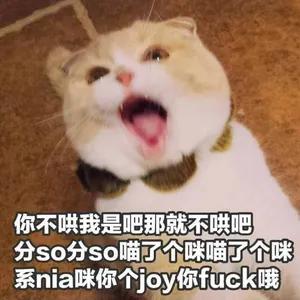 是喵星人啦00111-你不哄我是吧那就不哄吧分手分手喵了个咪的喵了个咪猫