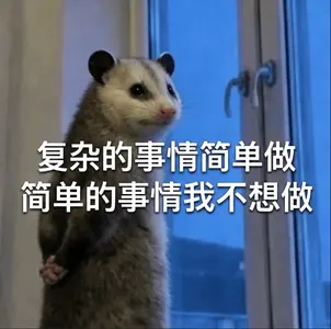 负鼠00028-复杂的事情简单做简单的事情我不想做