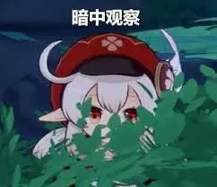 原神00005-暗中观察