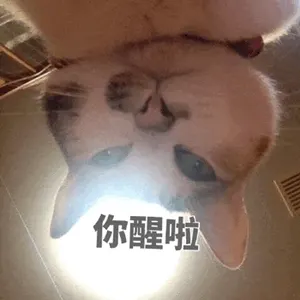 是喵星人啦00053-你醒啦猫