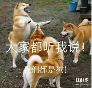 狗00006-大家都听我说-我们都是狗