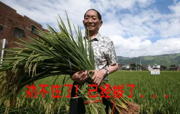 袁隆平00011-劝不住了已经拔了