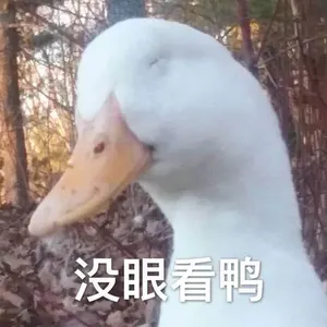 开心鸭00014-没眼看鸭