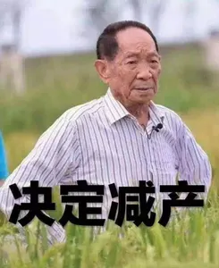 袁隆平00006-决定减产