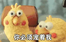 鹦鹉00002-你必须宠着我
