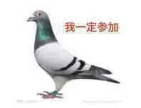 鸽子00013-我一定参加