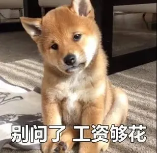中国春节00051-别问了工资够花
