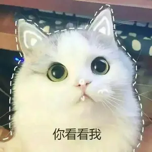 是喵星人啦00154-你看看我猫