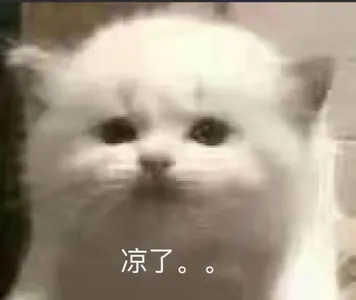 是喵星人啦00007-凉了猫
