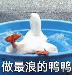 开心鸭00032-做最浪的鸭鸭