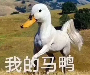 开心鸭00013-我的马鸭