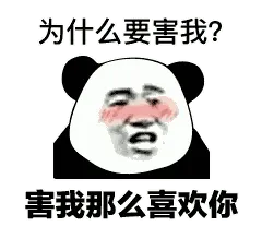 金馆长熊猫00114-为什么要害我害我那么喜欢你
