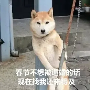 中国春节00034-春节不想被逼婚的话现在找我还来得及