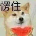 狗00049-愣住