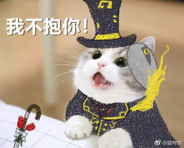 是喵星人啦00172-我不抱你猫
